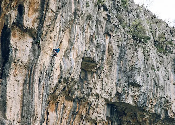 Auto Kamp Titograd 3* Podgorica