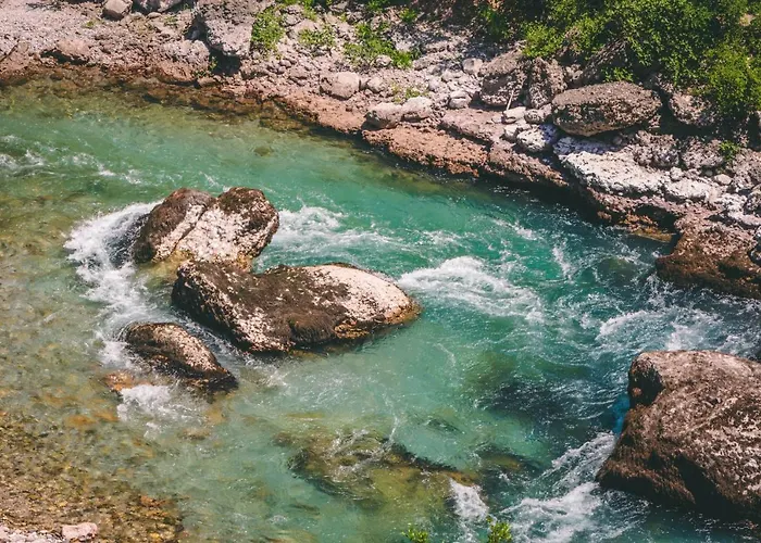 Auto Kamp Titograd Camping Podgorica